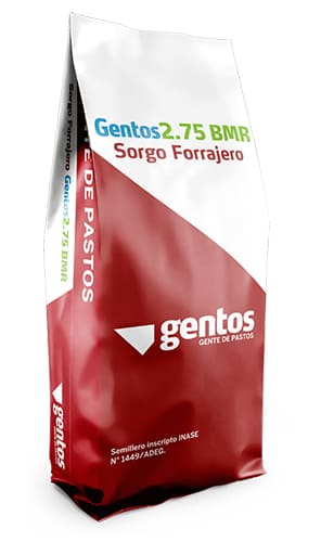 GENTOS 2.75 BMR HIBRIDO