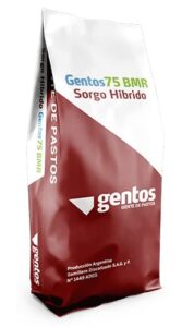 GENTOS-SORGOS-FORRAJERO - 75-BMR-HIBRIDO