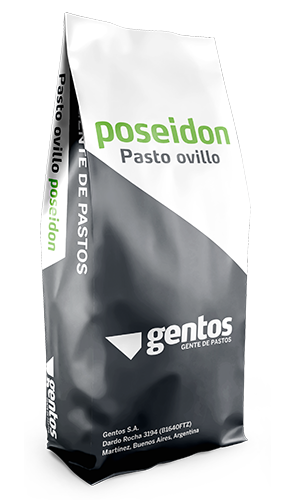 Poseidón Pasto Ovillo