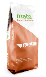 Gentos-GRAMINEAS-PHALARIS-Falaris-Mate
