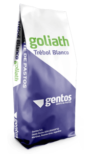 Gentos-LEGUMINOSAS-TREBOL-BLANCO-Goliath