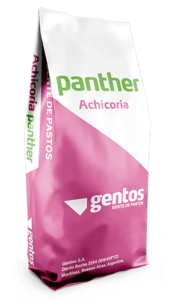 Gentos-Leguminosas-achicoria-panther