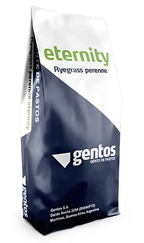 Eternity Ryegrass Perenne