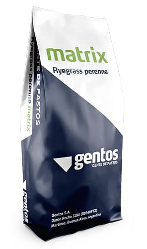 Matrix Ryegrass Perenne