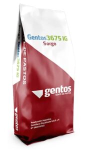 Gentos-Soprgos-Graniferos-3675-IG