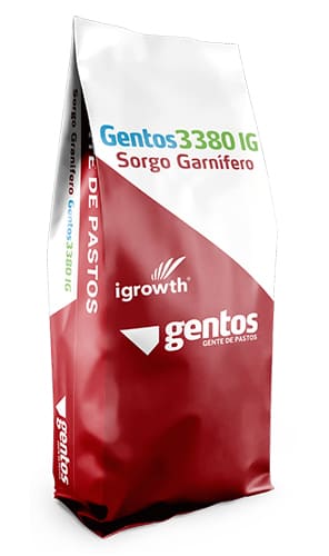 GENTOS GL 3380