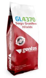 Gentos-Sorgos-Granifero-gl-4370