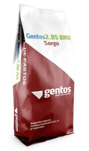 Gentos-Sorgos-Silero-130AA